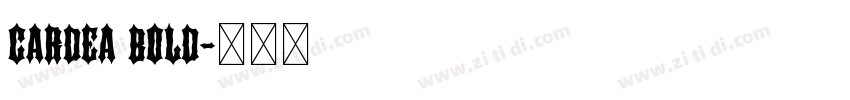CARDEA BOLD字体转换